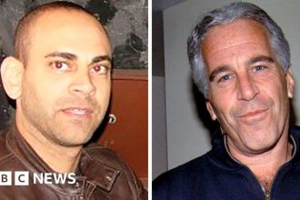 Agent begged Epstein to have sex with model, emails show