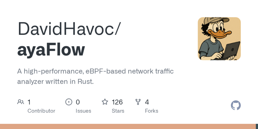 AyaFlow: A high-performance, eBPF-based network traffic analyzer written in Rust