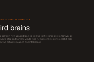 Bird brains (2023)