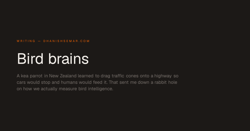 Bird brains (2023)