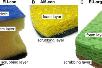 Dishwashing with side effects: Kitchen sponges release microplastics