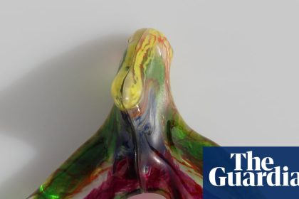 Full network of clitoral nerves mapped out for first time