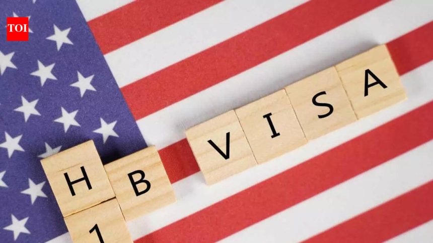 Government on introduction of bill related to H-1B, L-1 visa in US: Bill may hit tech workers