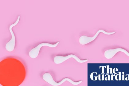 More frequent ejaculations may boost men’s fertility, research suggests