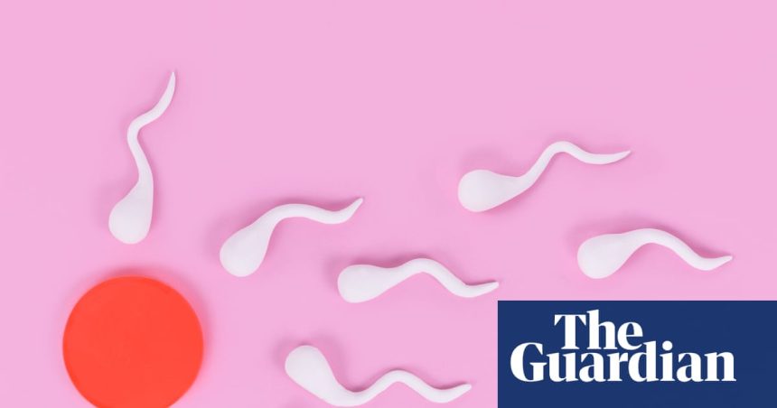 More frequent ejaculations may boost men’s fertility, research suggests