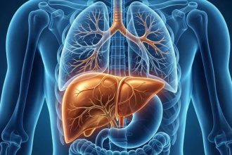 1.3 bn people had liver disease globally in 2023: Lancet study