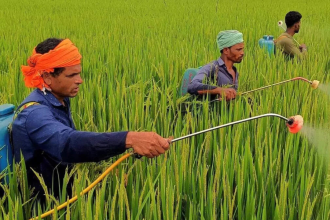 64 LT urea, 19 LT other fertilisers: India boosts import plans as global prices double amid Middle East crisis