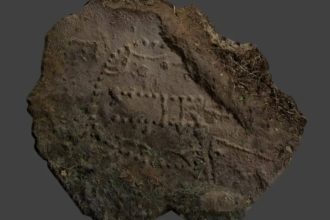 A 1,000-year-old structure found under Norway’s sea may reveal how whales were once trapped