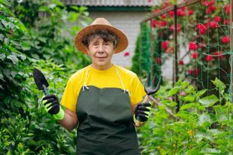 A beginner's guide to gardening tools and their uses