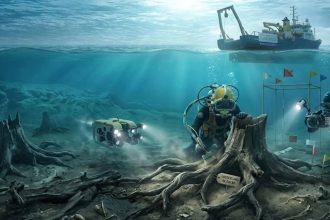 A hidden prehistoric forest was just discovered beneath the North Sea, revealing life from 16000 years ago