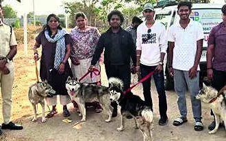 Abandoned Husky found dead, 5 rescued, '30 missing'