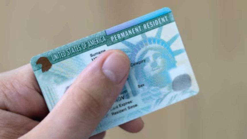 'Age difference, limited language...': Immigration attorney flags rising risks in marriage-based Green Cards