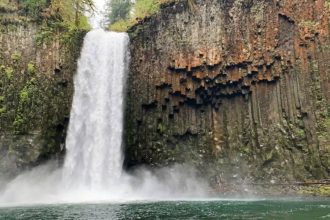 Andhra techie dies in California waterfall accident during trip with friends