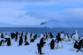 Antarctica has no cities, no people, and no permanent life: Here’s why humans can’t stay there forever