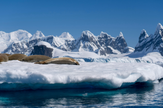 Antarctica’s “point of no return”: Scientists warn the meltdown may be unstoppable