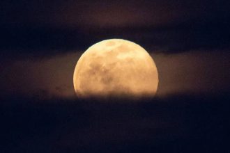 April's full moon, known as “Pink Moon”, peaks on April 1: Why it won’t actually turn pink and the science behind it