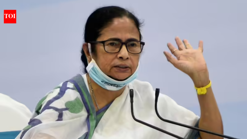 Bengal polls 2026: Mamata Banerjee warns against vote split, says ‘TMC win key to safety’