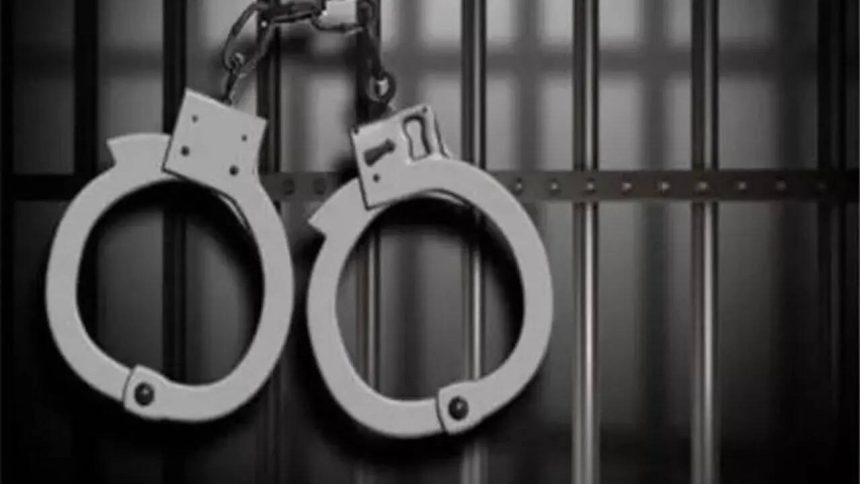 CBI arrests senior executive of major corporate group in drone import bribery case