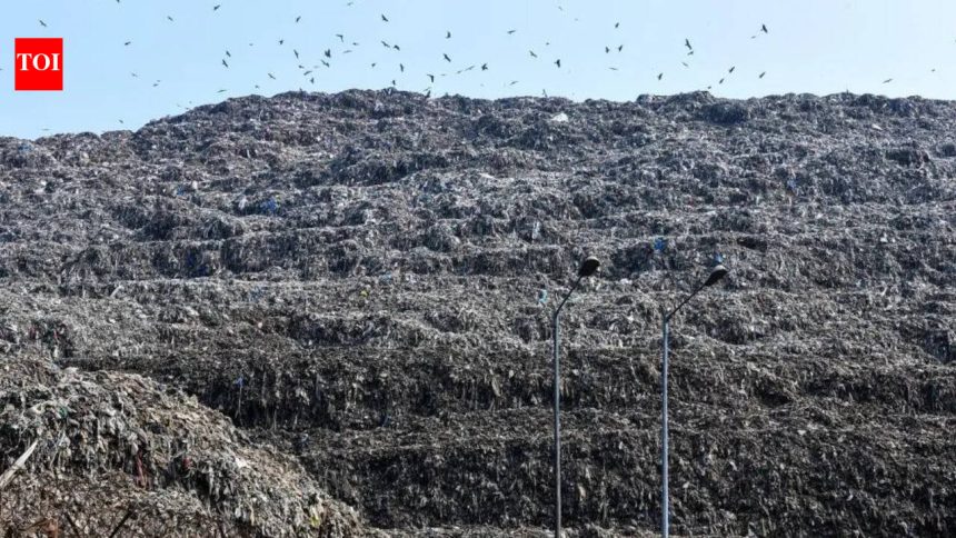 City’s avg daily waste generation rises to nearly 13K MT