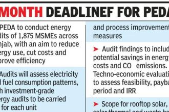 Energy audits: Punjab to help 1,875 MSMEs cut costs, power