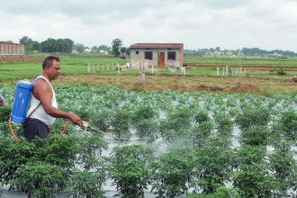 Fertiliser support: Cabinet clears Rs 41,534 crore nutrient-based subsidy for Kharif 2026; DAP price kept unchanged