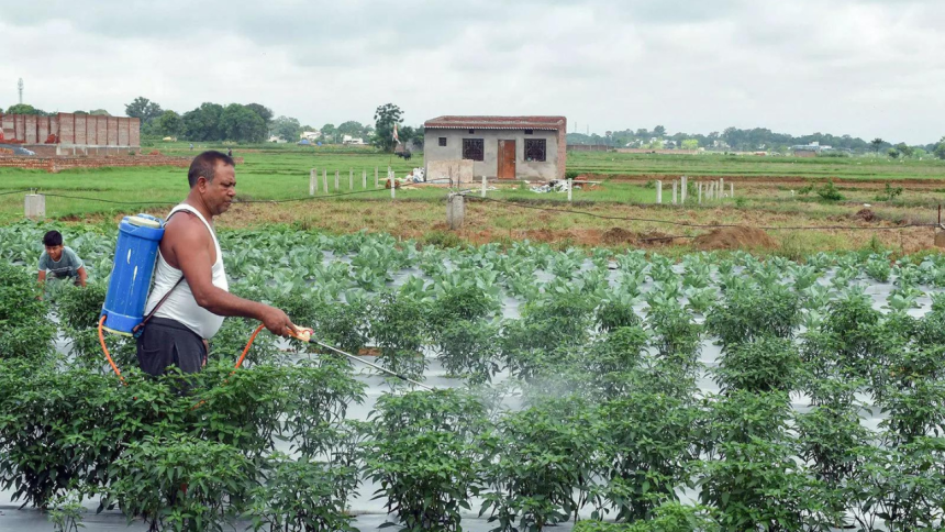 Fertiliser support: Cabinet clears Rs 41,534 crore nutrient-based subsidy for Kharif 2026; DAP price kept unchanged