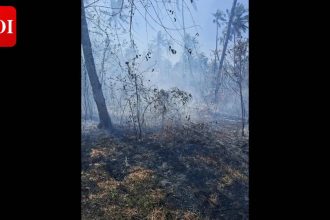 Fire at Honda plantation, Rs 80,000 loss estimated