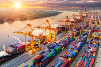 Govt rolls out measures to cushion Gulf trade hit: DGFT