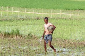 Govt says El Nino risk to farm output manageable, cites irrigation, reservoirs, seed buffers