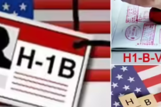 H-1B visa holders harassed by influencers: Immigration attorneys say 'don't open the doors, you are not...'