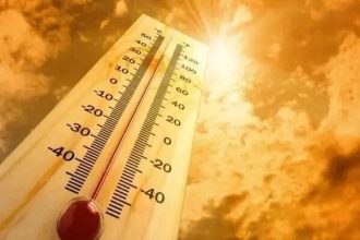 Heatwaves will become a major threat to Indian rice production, Ganges and Indus River basin face the most intense risk: FAO-