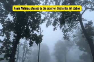 “I plead guilty of that too”, Anand Mahindra pleasantly shocked after seeing this hidden hill station in Jharkhand