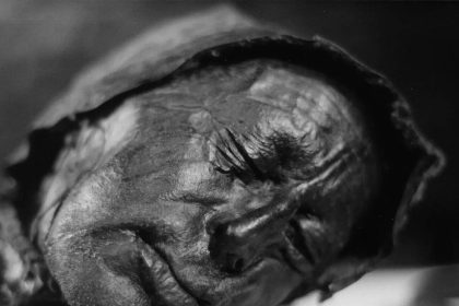 In 1950, a routine cut through a Danish bog revealed a face so fresh it looked alive until it was dated to 300 BCE