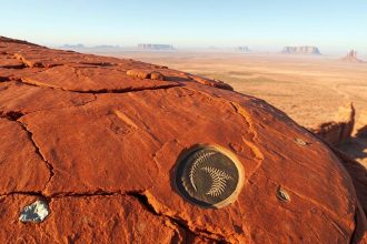 In 2024, an Australian farmer clearing scrub followed a strange metallic glint to a prehistoric world hidden for 15 million y