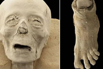 Inside 2,300-year-old Egyptian mummies: CT scans expose skulls, disease, and a mysterious missing toe