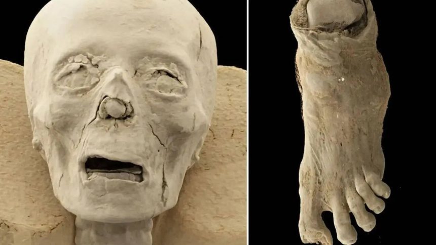 Inside 2,300-year-old Egyptian mummies: CT scans expose skulls, disease, and a mysterious missing toe