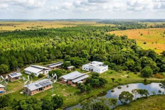 Las Gaviotas: How a tiny town in Colombia created a green Utopia