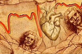 Leonardo Da Vinci drew this heart structure 500 years ago: Scientists may have just solved the mystery that may predict heart