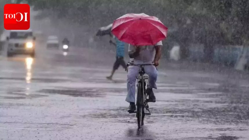 Light rain likely today, sunny weather during week: Met dept