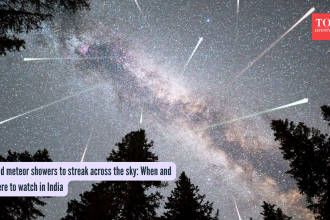 Lyrid meteor showers to streak across the sky: When and where to watch in India