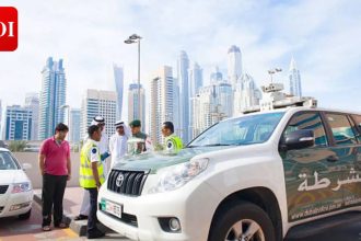 Mass crackdown in Dubai: Police issue 33,000 fines; seize 1,230 vehicles under 'Quiet Roads' initiative