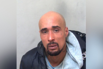 Mauled to death by XL bully dogs: UK rapper jailed for mother-in-law’s fatal death in canine attack