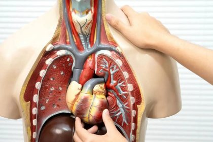 No symptoms, real risk: Subtle signs of organ stress most people ignore and how to prevent damage