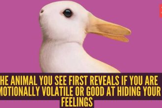 Optical illusion personality test: Rabbit or duck? The animal you see first reveals if you are emotionally volatile or good a
