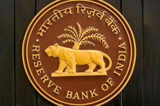 Payment lags can help curb digital fraud: RBI