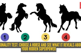 Personality test: Choose a horse and see what it reveals about your hidden superpower