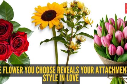 Personality test: Rose, sunflower, or tulip? The flower you choose reveals your attachment style in love
