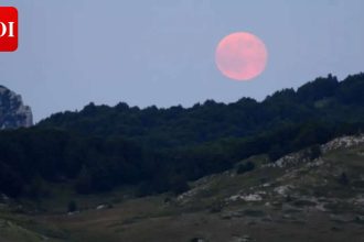 Pink Moon to appear in UAE skies soon: Check out dates, timings, observation points and best desert spots for viewing