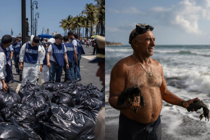 Pipeline leak near Pemex platform caused Gulf of Mexico oil spill that killed wildlife, polluted reserves: officials