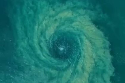 Rare underwater tornado forms in strong circular motion off Australia’s Manly Beach | Watch